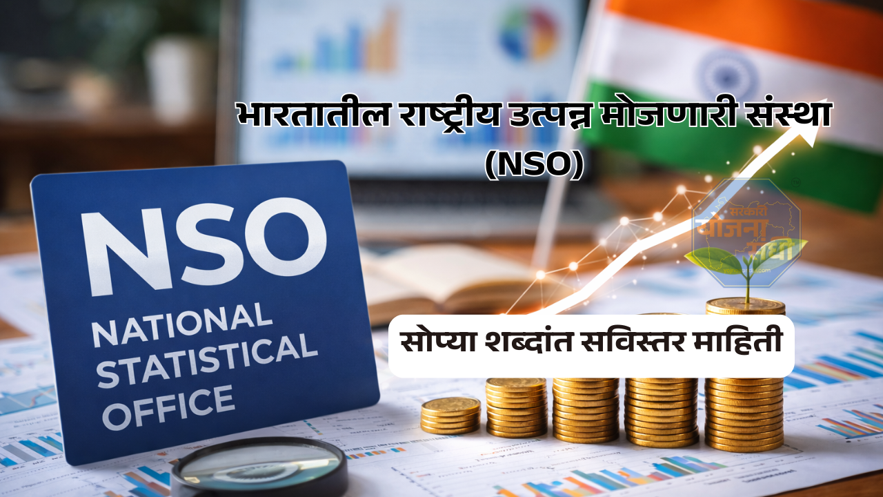 भारतातील राष्ट्रीय उत्पन्न मोजणारी संस्था (NSO)